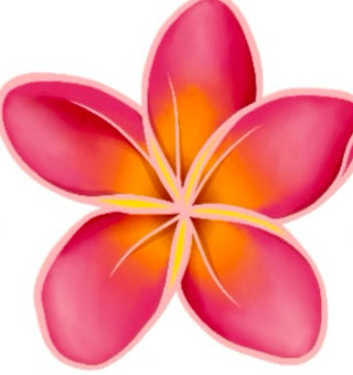 Hang Um Hawai'i Air Fresheners